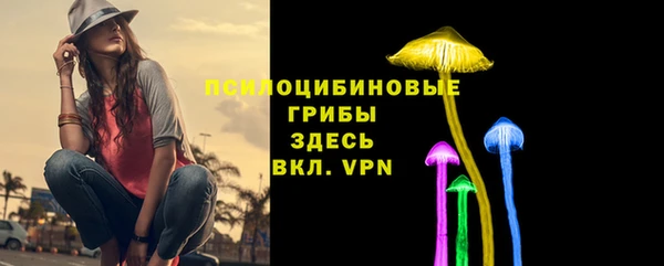 не бодяженный Горнозаводск